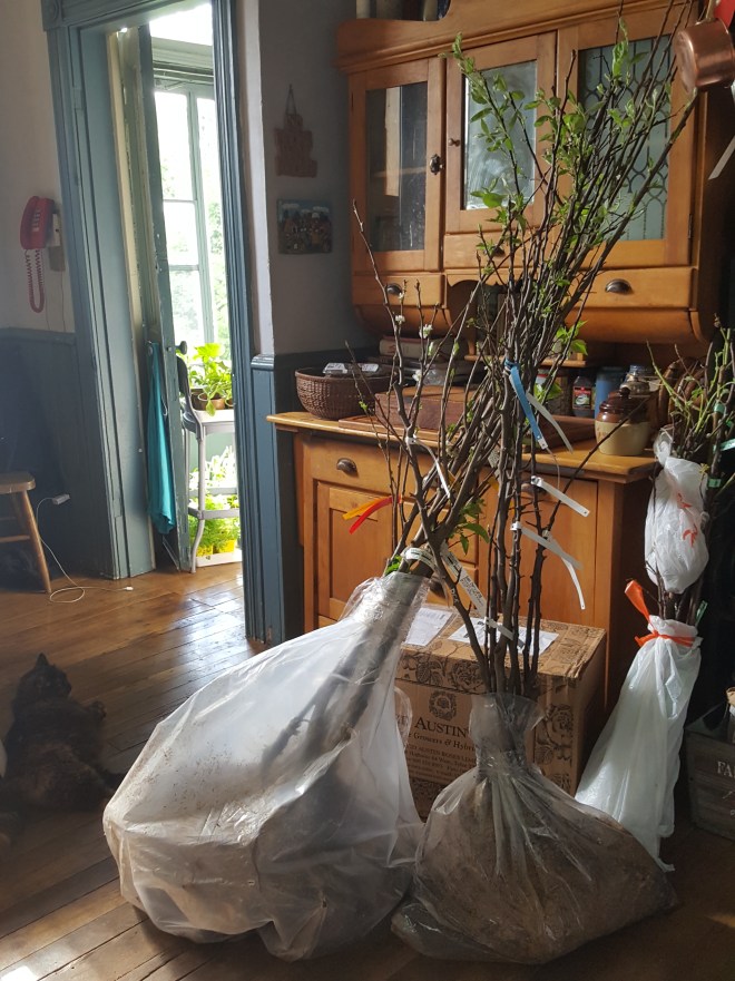 1527541738379551404721