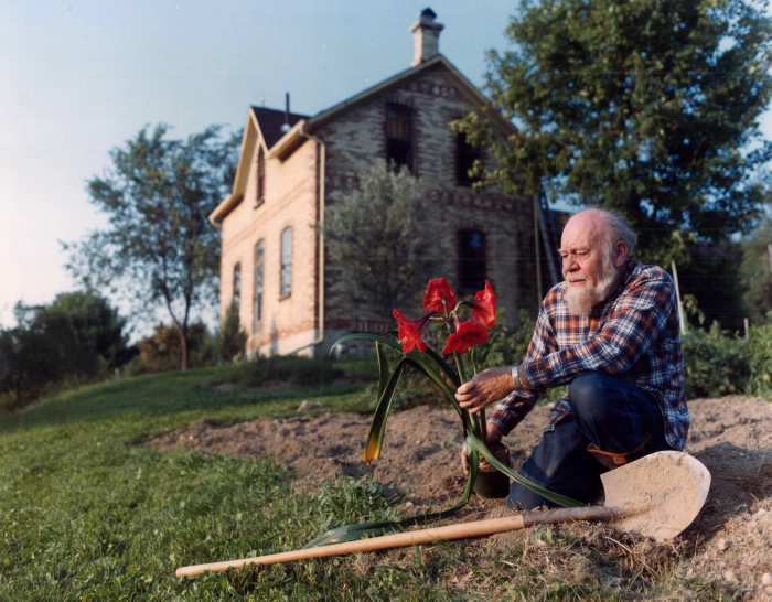Fred in veg gdn Amarylis